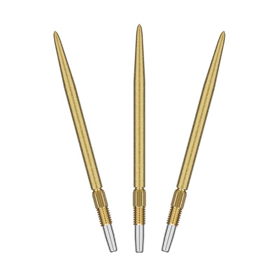 SWISS SLK POINT GOLD 2025