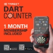 Image de TARGET CHRIS DOBEY 95K - FLÉCHETTES À POINTE EN ACIER