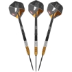 Dirk van Duijvenbode 95% CP Steeltip dartshop das roggel
