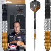 Dirk van Duijvenbode 95% CP Steeltip dartshop das roggel
