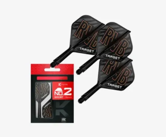 Afbeeldingen van RAYMOND VAN BARNEVELD K-FLEX NO2