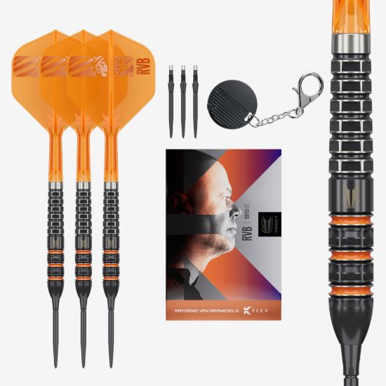 Target Raymond Van Barneveld 95K Steeltip Darts 2026 dartshop das roggel