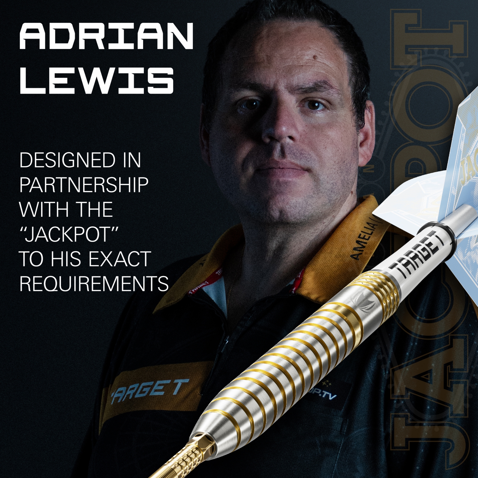 Image de Fléchettes pointe acier Target Adrian Lewis Showdown 95% SP