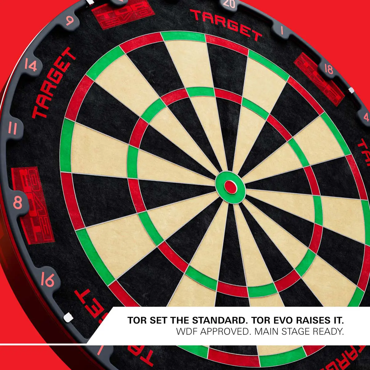 Bild von Target TOR EVO Dartscheibe