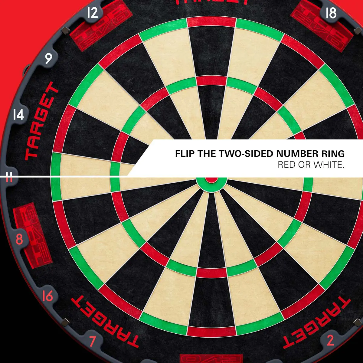 Bild von Target TOR EVO Dartscheibe