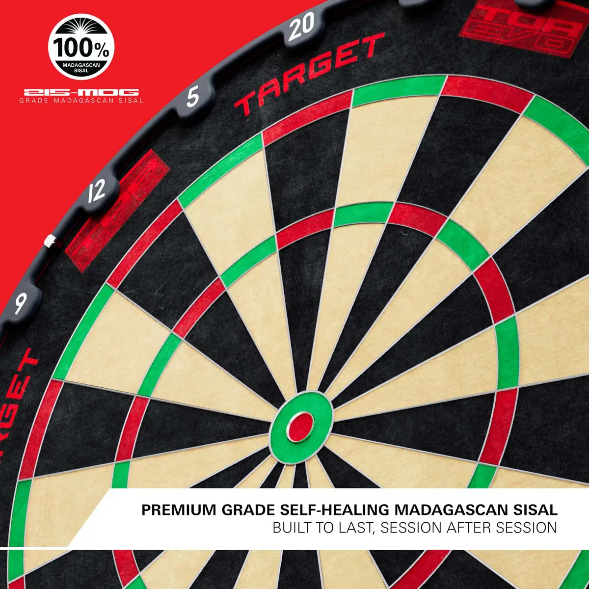 Bild von Target TOR EVO Dartscheibe