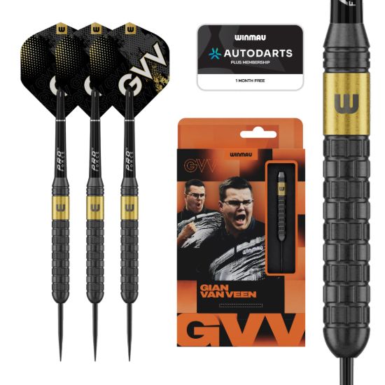 Bild von Winmau Gian van Veen Brass Steeldarts | Dartpfeile