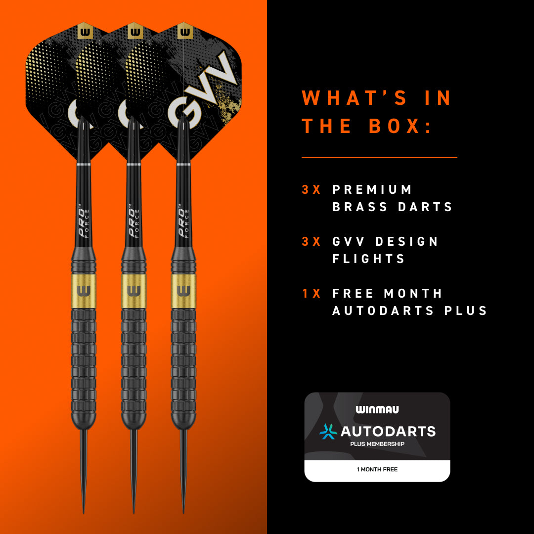 Bild von Winmau Gian van Veen Brass Steeldarts | Dartpfeile